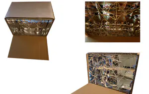  A cardboard box that when opened shows mirrors in all internal faces reflecting a web made with strings that represents Dudley as a complex system of interconnected elements. The Dudley High street has lack in colour, public spaces, and green areas, reflecting the local population that is experiencing deprivations and vice versa. Making a high street attractive can improve the local population in health, social and economic aspects. - 0_g7YfznbDsLKKDQci.png