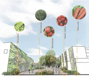 The image shows what this space could look like as a productive landscape. Where all the space is used. Vertical growing space can be utilised for pollinators for heights out of human range and for fruit and herbs in the lower regions that lie within our grasp. Trees can provide shelter, pollen and fruit, as can shrubs. - 1_I1Zo_eW9Ylo2G6KP5uxbfw.png