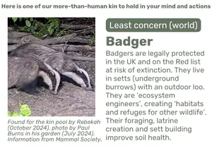 Badger - Badger.png