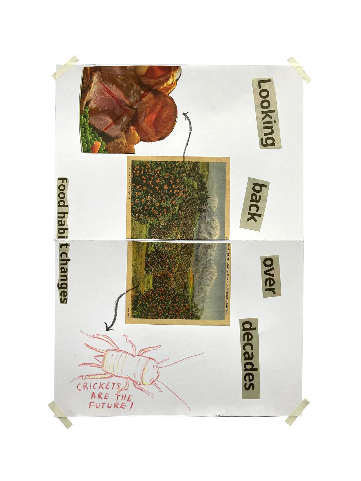 A More-Than-Human Story of Dudley High Street
This story is a collective outcome after utilising completed Street Detectorism maps, and More-Than-Human findings to create of 'A More-Than-Human Story of Dudley High Street'. 
As part of a dissertation study, this workshop invited participants to share their imagination and develop stories from the previous findings on Dudley High Street. This story creatively archives nature on Dudley High Street, with emphasis for the value of storytelling and nature at the forefront of this task. - S10.jpg